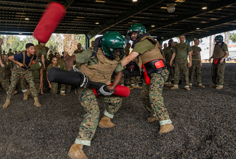 November Company Sparring