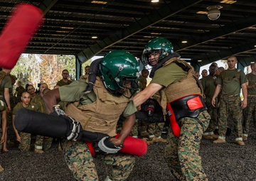 November Company Sparring