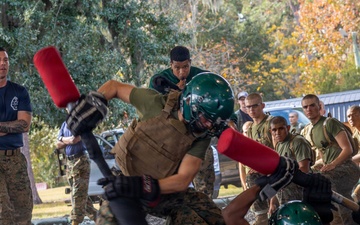 November Company Sparring