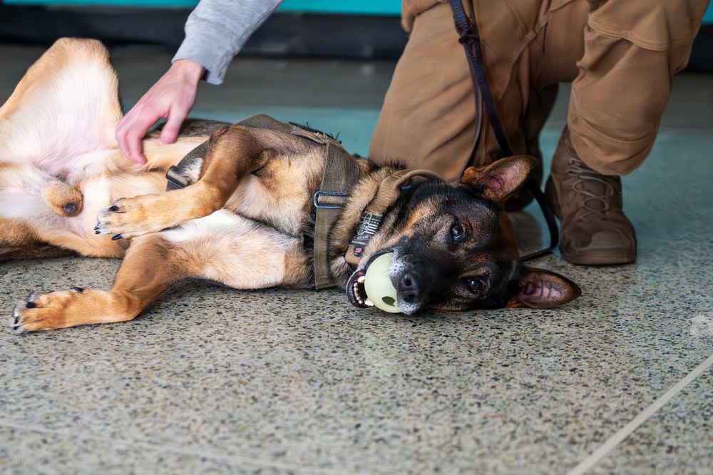 Fairchild AFB enhances medical readiness with K-9 Tactical Combat Casualty Care