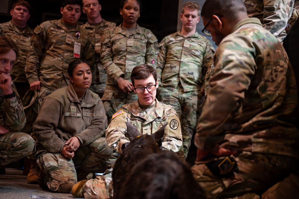 Fairchild AFB enhances medical readiness with K-9 Tactical Combat Casualty Care