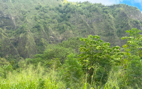 Hawaii Military &amp; Civilians Give Back to Ko'olau Foundation