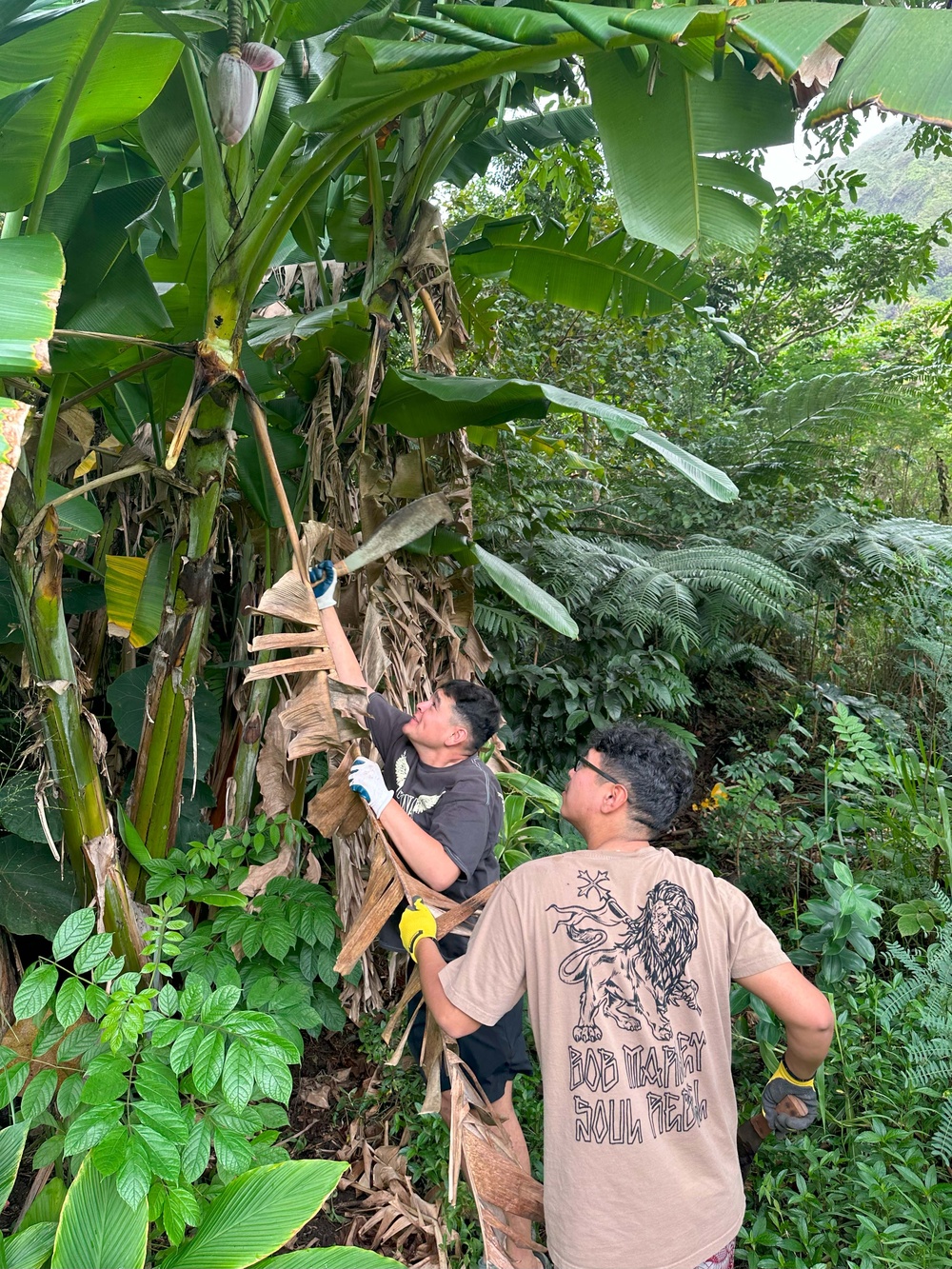 Hawaii Military &amp; Civilians Give Back to Ko'olau Foundation