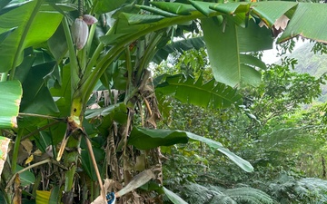 Hawaii Military &amp; Civilians Give Back to Ko'olau Foundation