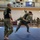2025 Fort Carson Turkey Brawl