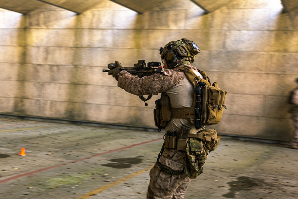 Reconnaissance Marines with the 24th Marine Expeditionary Unit conduct rifle and pistol drills