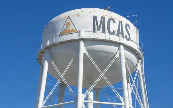 250th U.S. Marine Corps birthday run