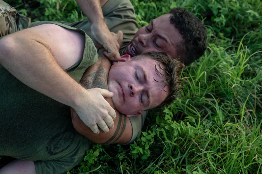 Service Members engage in Joint Physical Training