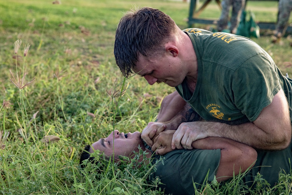 Service Members engage in Joint Physical Training
