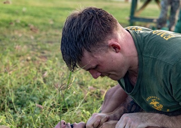 Service Members engage in Joint Physical Training