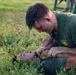 Service Members engage in Joint Physical Training