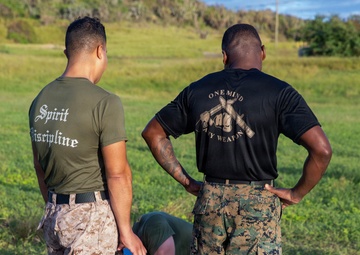 Service Members engage in Joint Physical Training