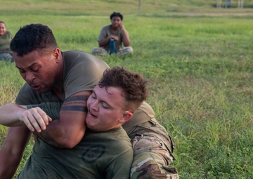Service Members engage in Joint Physical Training