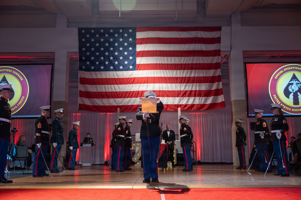 MARSOC's Hosts 250th Marine Corps Birthday Ball
