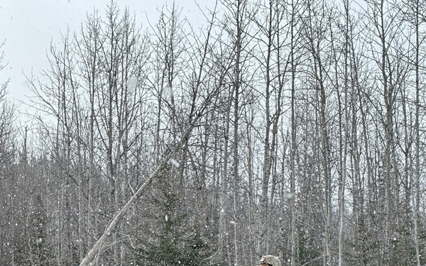Freeport-Based Military Police Unit Returns From Critical Mission in the Tundra
