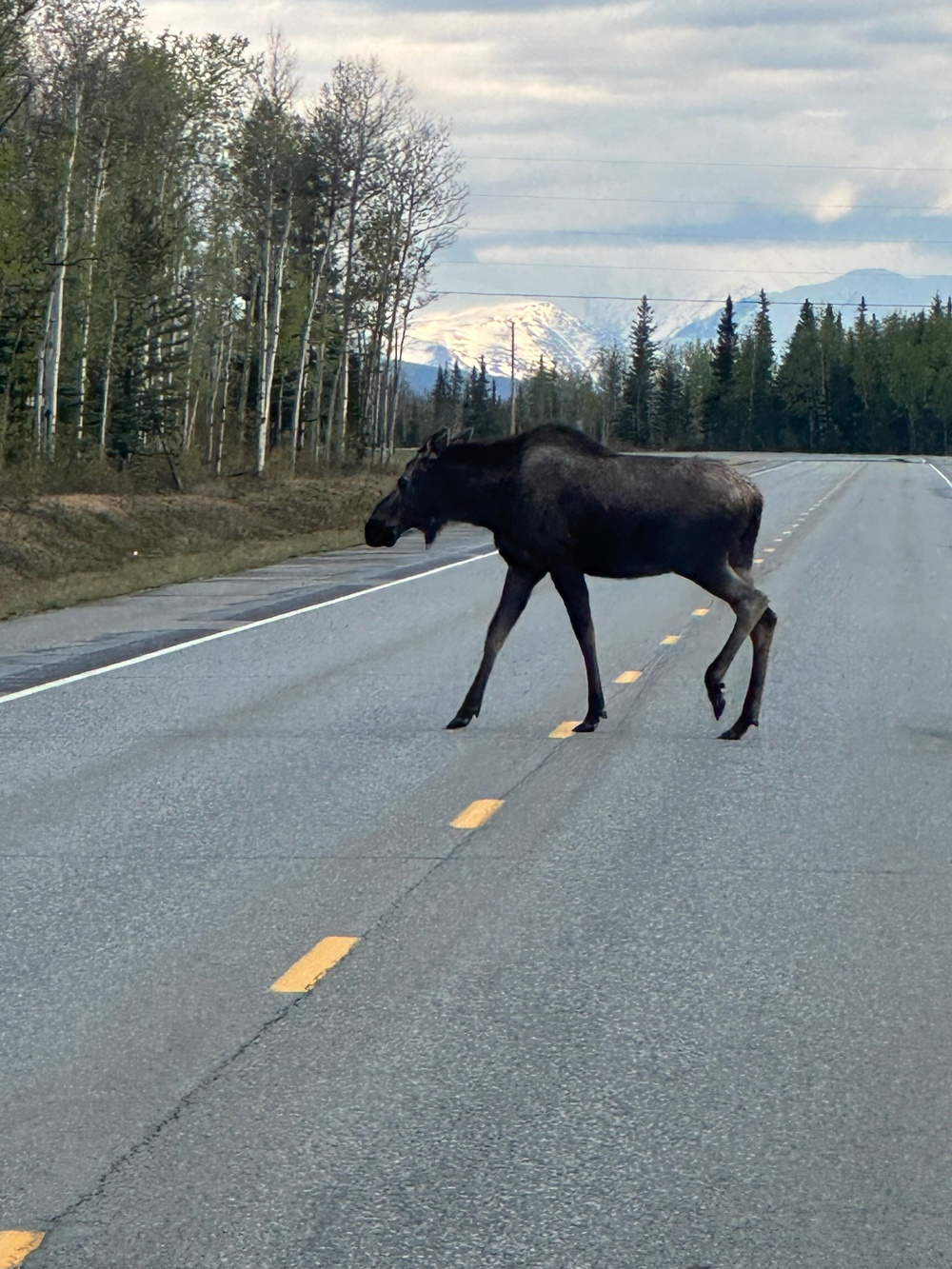Freeport-Based Military Police Unit Returns From Critical Mission in the Tundra