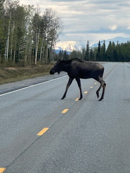Freeport-Based Military Police Unit Returns From Critical Mission in the Tundra