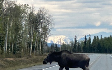 Freeport-Based Military Police Unit Returns From Critical Mission in the Tundra