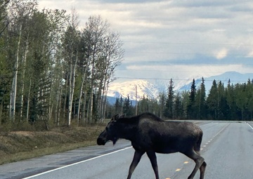 Freeport-Based Military Police Unit Returns From Critical Mission in the Tundra
