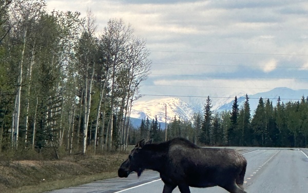 Freeport-Based Military Police Unit Returns From Critical Mission in the Tundra