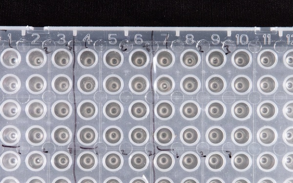 Ebola Response Equipment