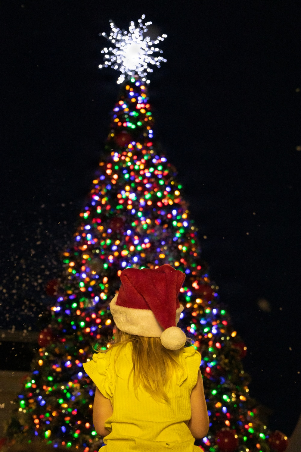 MCBH Tree Lighting Ceremony