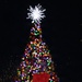 MCBH Tree Lighting Ceremony