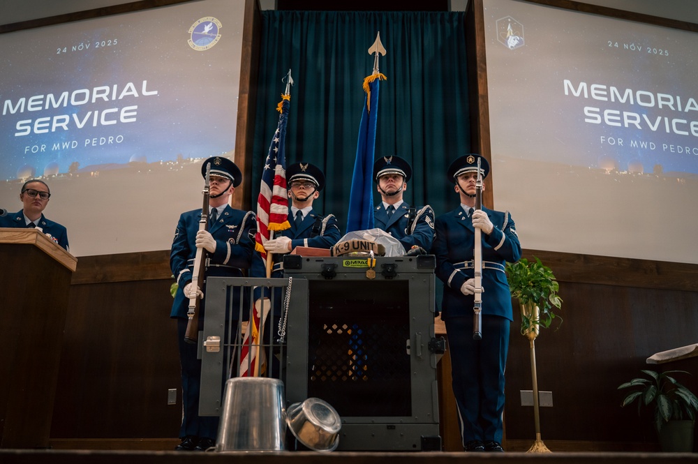 Pedro: A Legacy of Loyalty, Lethality, and Lasting Impact