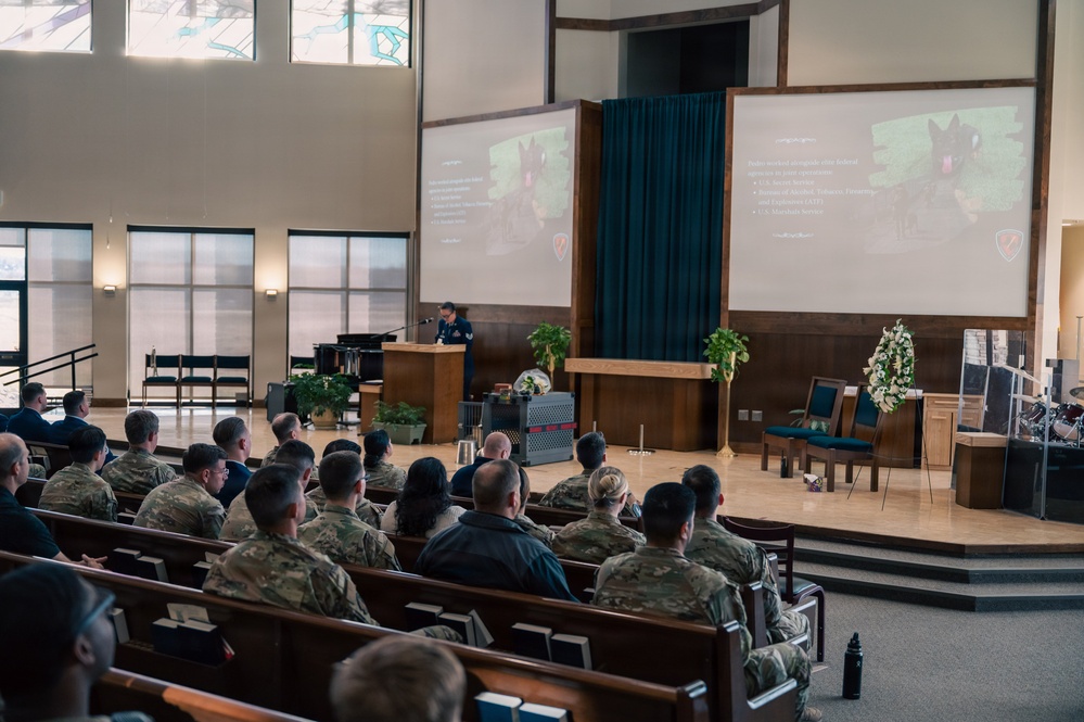 Pedro: A Legacy of Loyalty, Lethality, and Lasting Impact