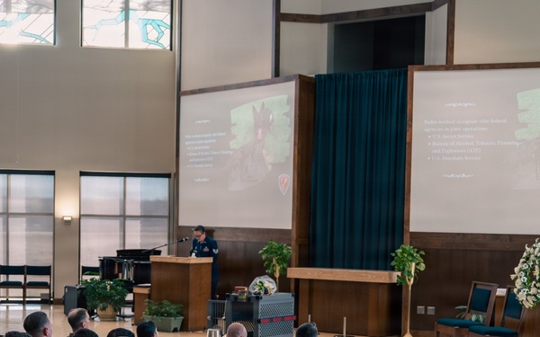 Pedro: A Legacy of Loyalty, Lethality, and Lasting Impact