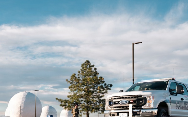 Pedro: A Legacy of Loyalty, Lethality, and Lasting Impact