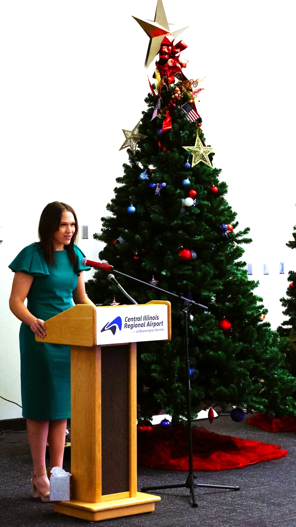 Illinois National Guard Joins American Gold Star Families in Holiday Tree Lighting in Bloomington