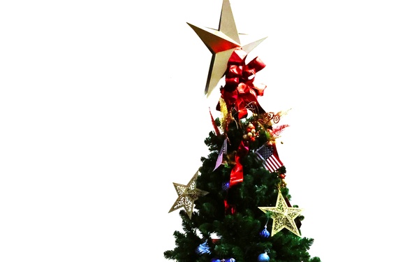 Illinois National Guard Joins American Gold Star Families in Holiday Tree Lighting in Bloomington