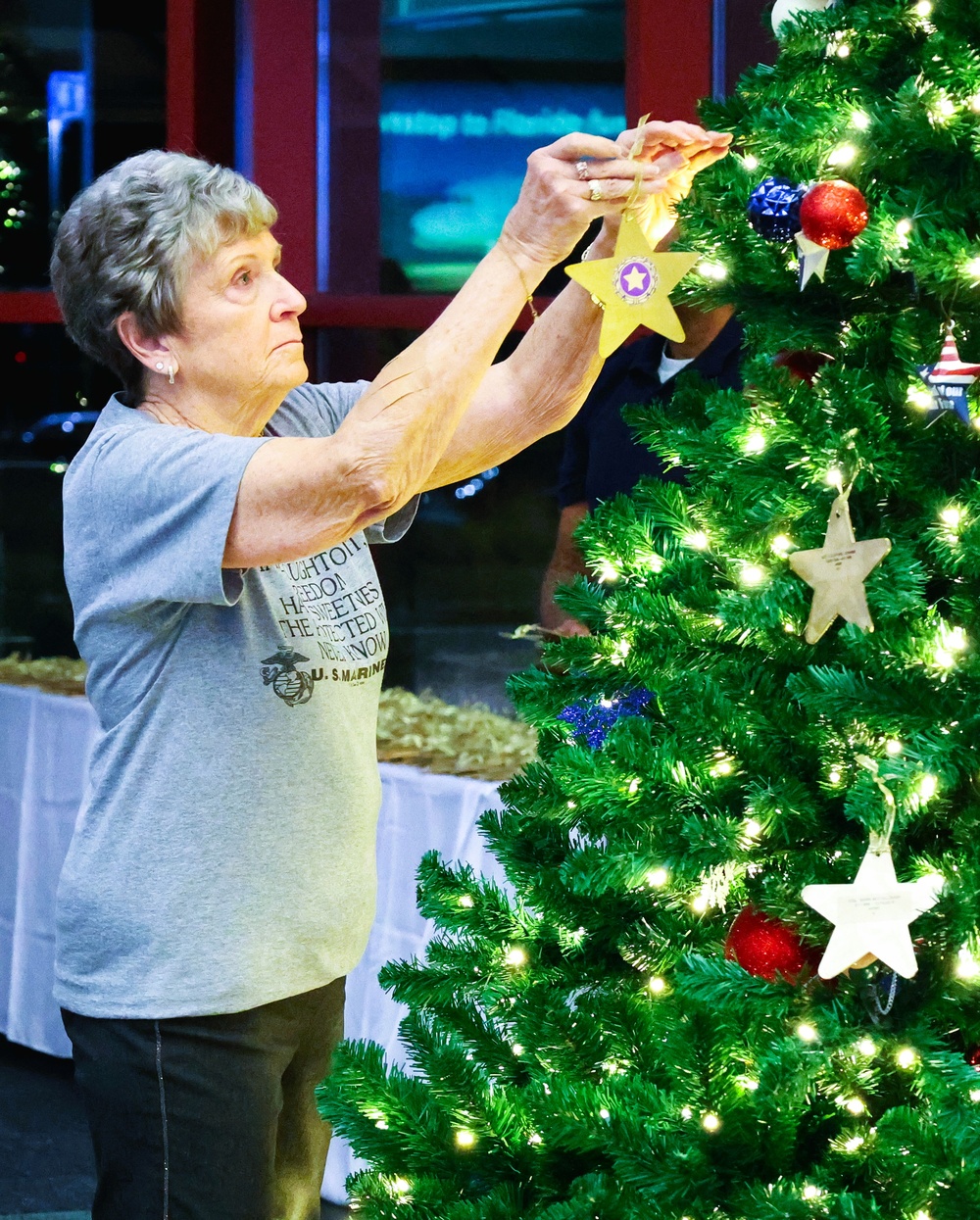 Illinois National Guard Joins American Gold Star Families in Holiday Tree Lighting in Bloomington