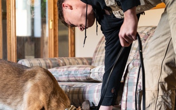 Malmstrom MWD team trains detection with MT Highway Patrol K-9 unit