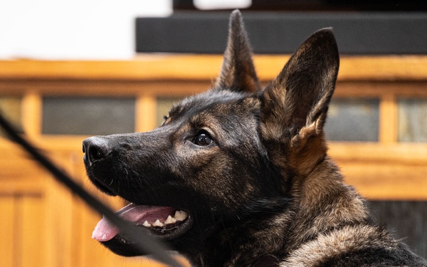 Malmstrom MWD team trains detection with MT Highway Patrol K-9 unit