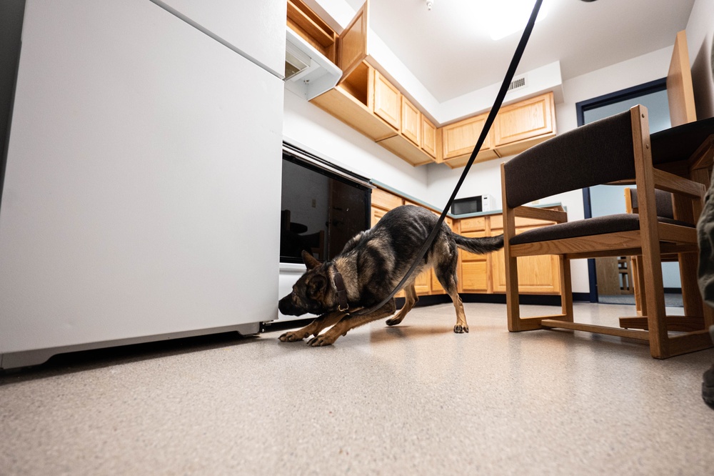 Malmstrom MWD team trains detection with MT Highway Patrol K-9 unit