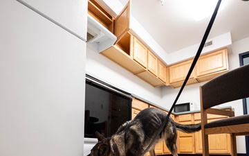 Malmstrom MWD team trains detection with MT Highway Patrol K-9 unit