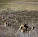1st Bn., 1st Marines rehearse helicopter raid tactics
