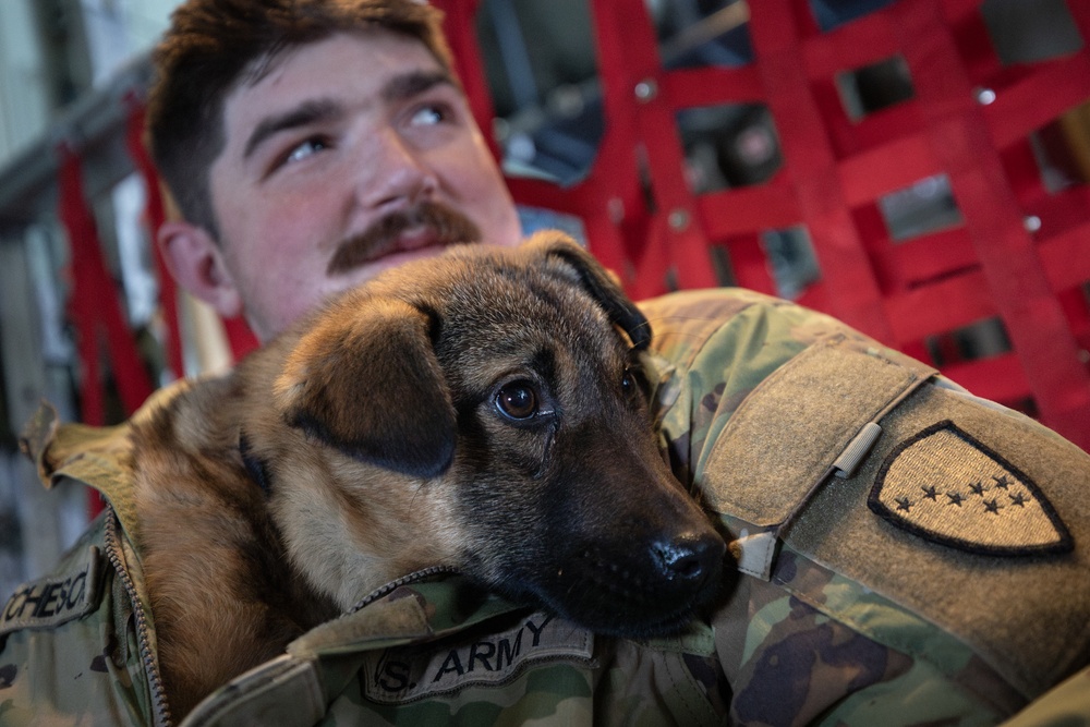 AKANG’s 211th Rescue Squadron supports Operation Halong Response efforts