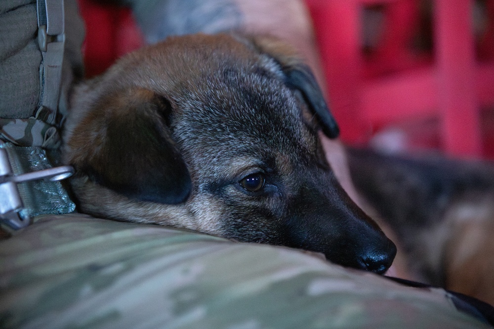 AKANG’s 211th Rescue Squadron supports Operation Halong Response efforts