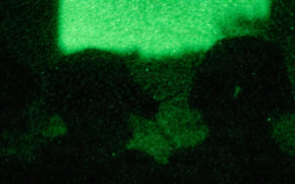 The Old Guard and Special Operations Training, Nov. 17-22