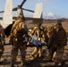 1st Bn., 1st Marines rehearse helicopter raid tactics
