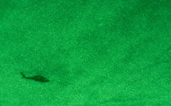 The Old Guard and Special Operations Training, Nov. 17-22