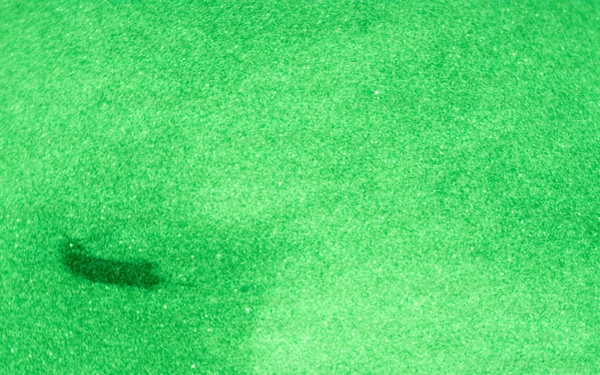 The Old Guard and Special Operations Training, Nov. 17-22