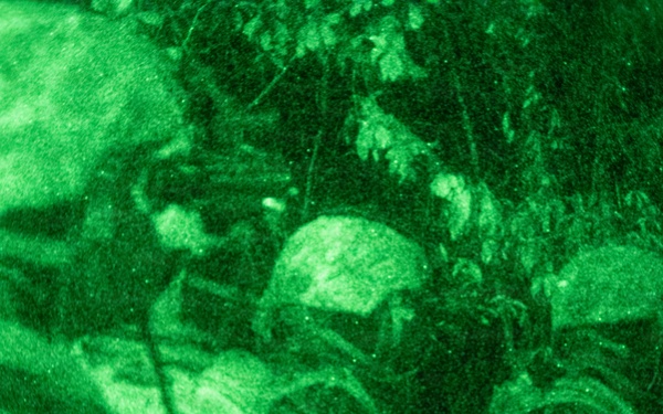 The Old Guard and Special Operations Training, Nov. 17-22