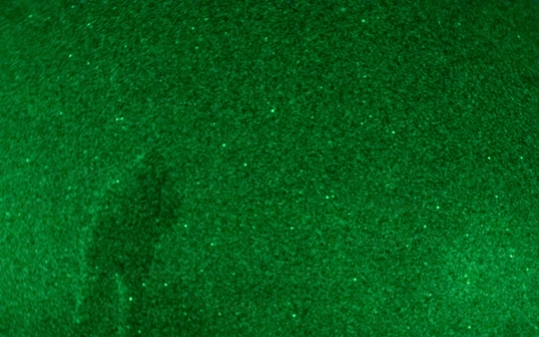 The Old Guard and Special Operations Training, Nov. 17-22