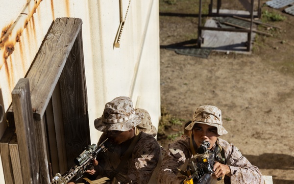 1st Bn., 1st Marines rehearse helicopter raid tactics