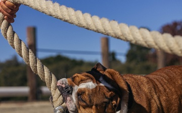 MCRD San Diego Headquarters and Service Battalion Atlas Games