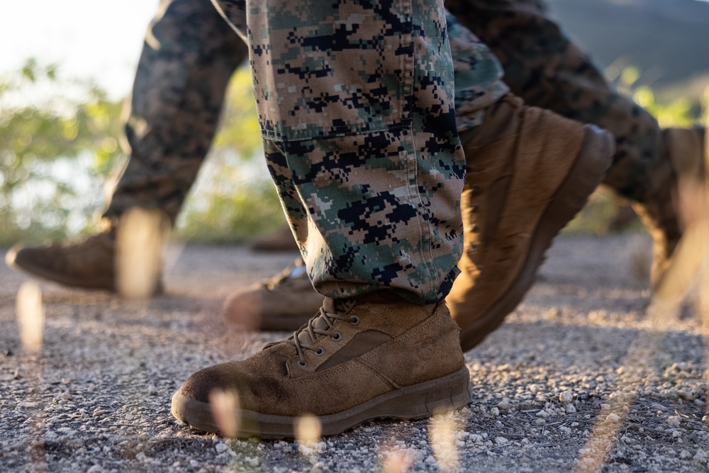 3rd MLR conducts Bougainville Run